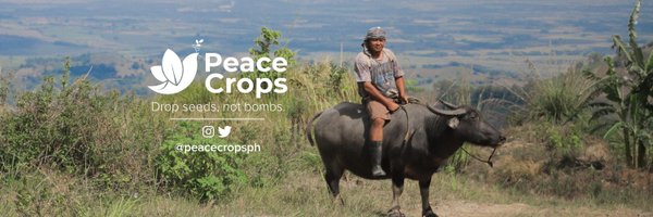 Peace Crops Profile Banner