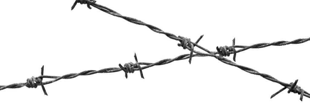 Kane Navasard banner