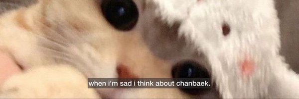 cosmichanbaek Profile Banner