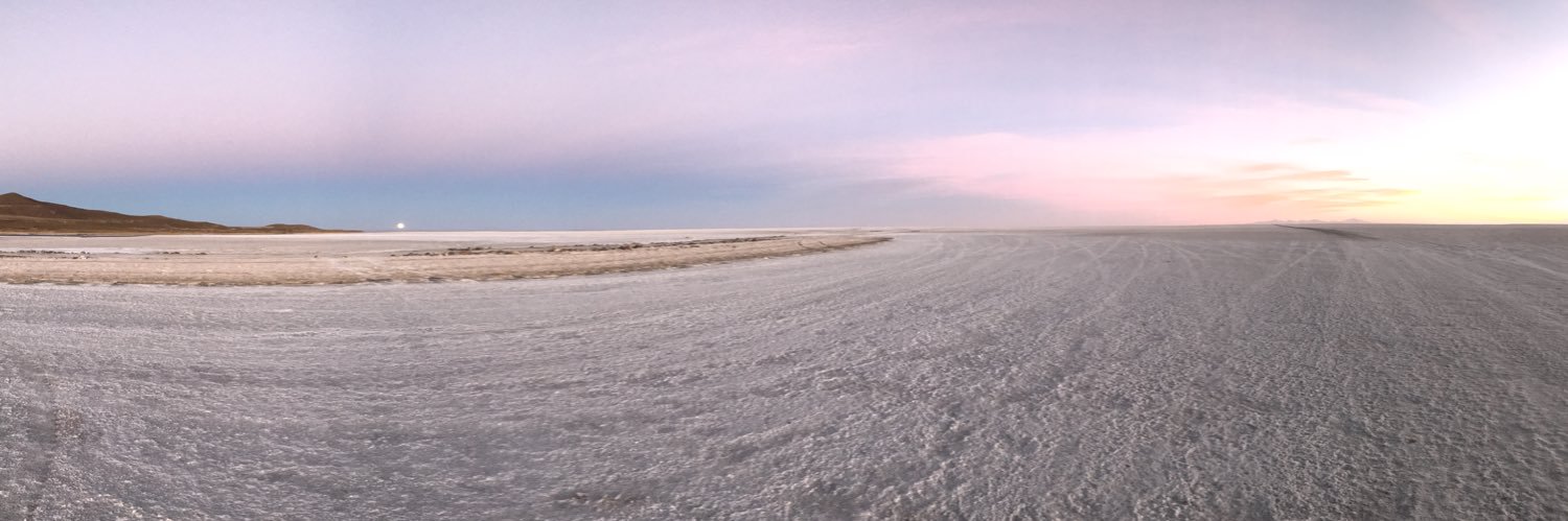 Denisse Silva banner