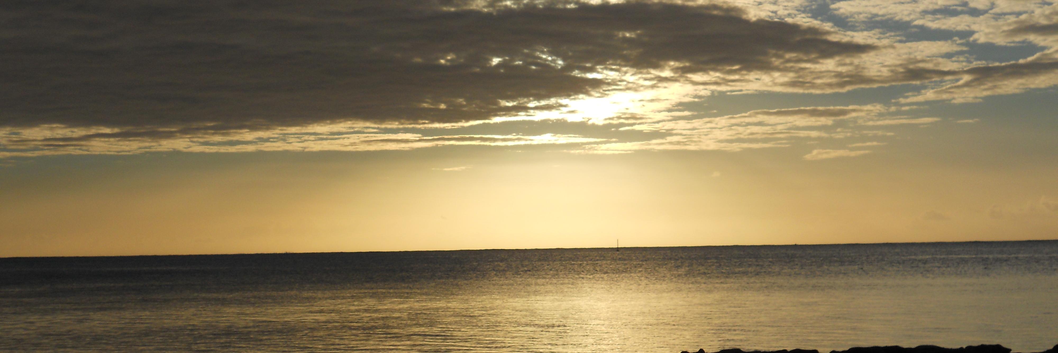 LauraVolpi2's profile banner image