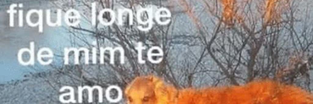 Leidi ãine ♟️ banner