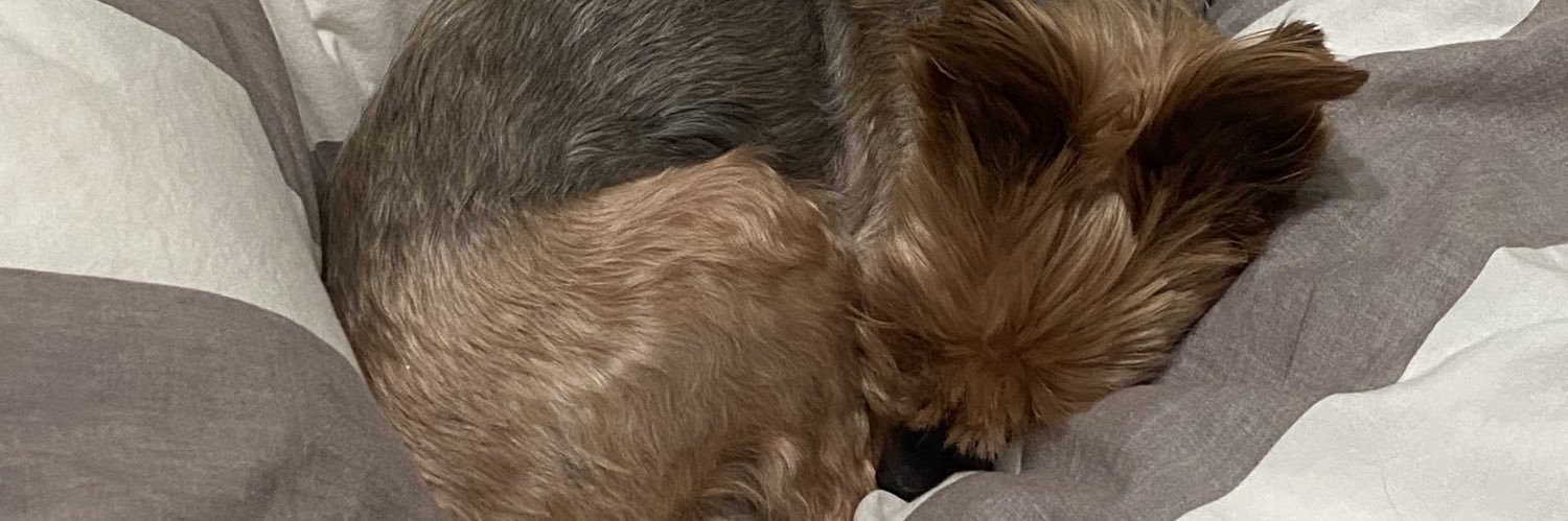 trinsmh's profile banner image