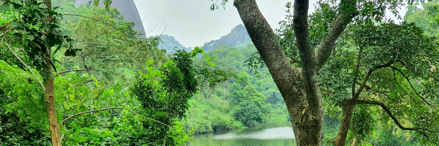 olamyde_'s profile banner image