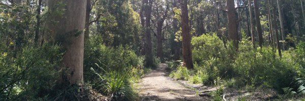 Nate_S_Anderson Profile Banner