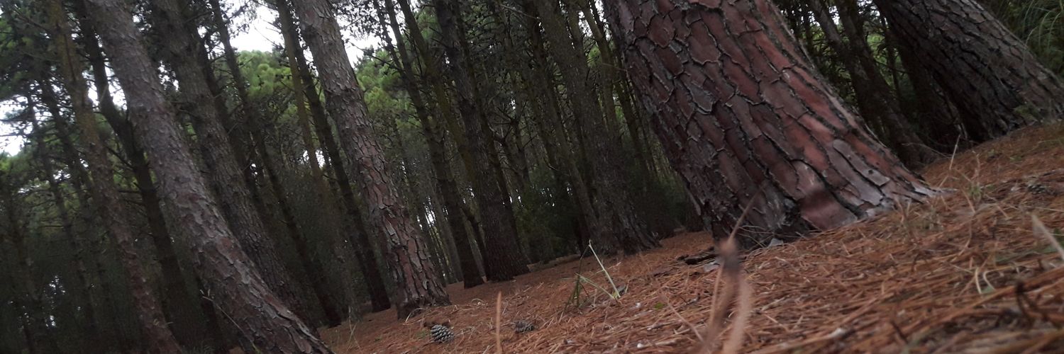 Axel_Bardey_'s profile banner image