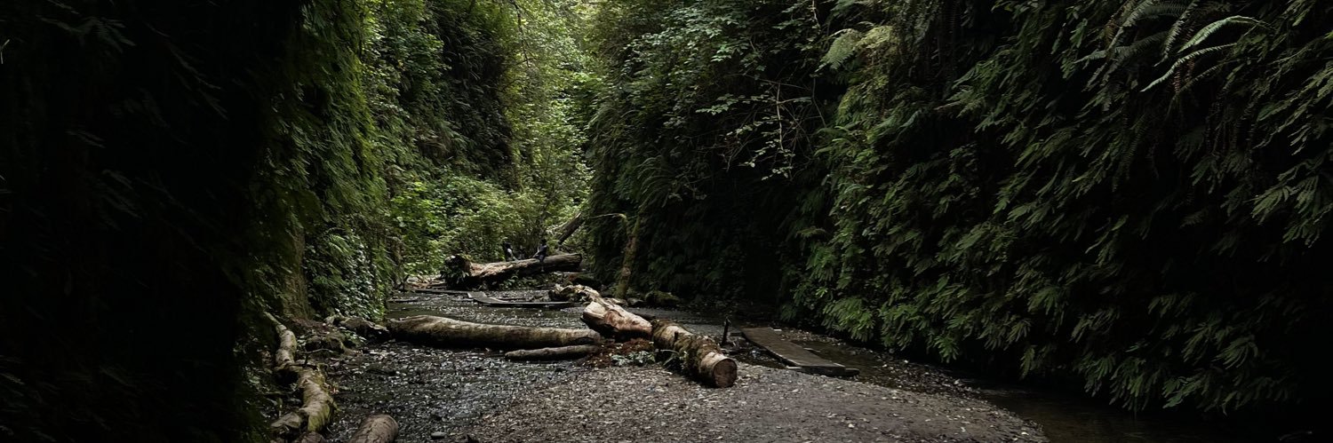Wakatete's profile banner image