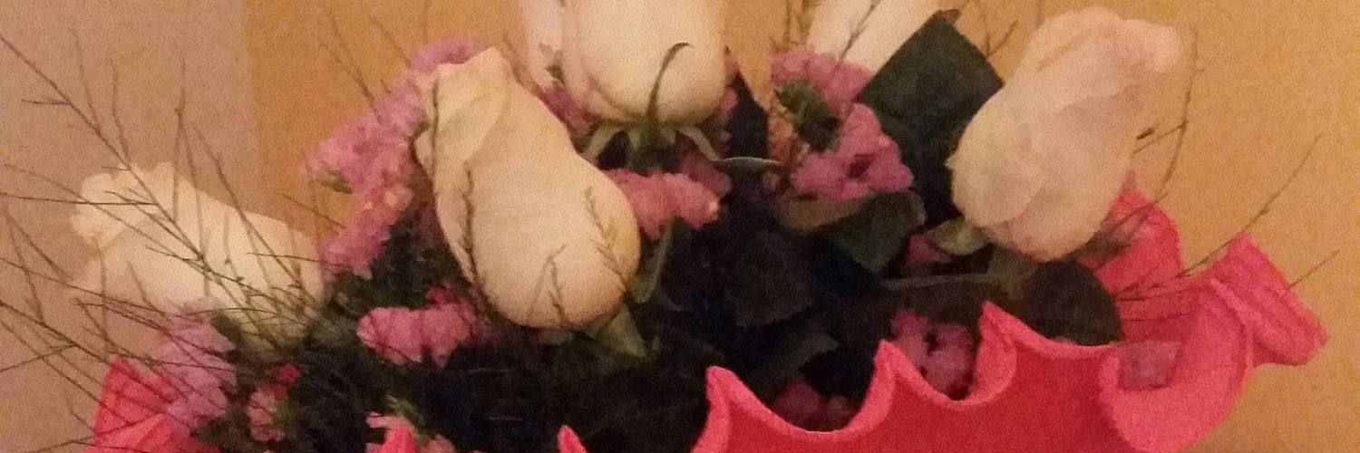 raquelrop77's profile banner image
