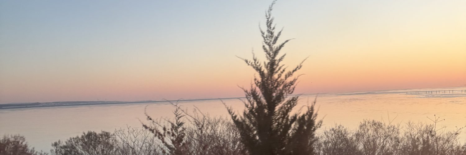 Jen Jordan (Robustelli) banner