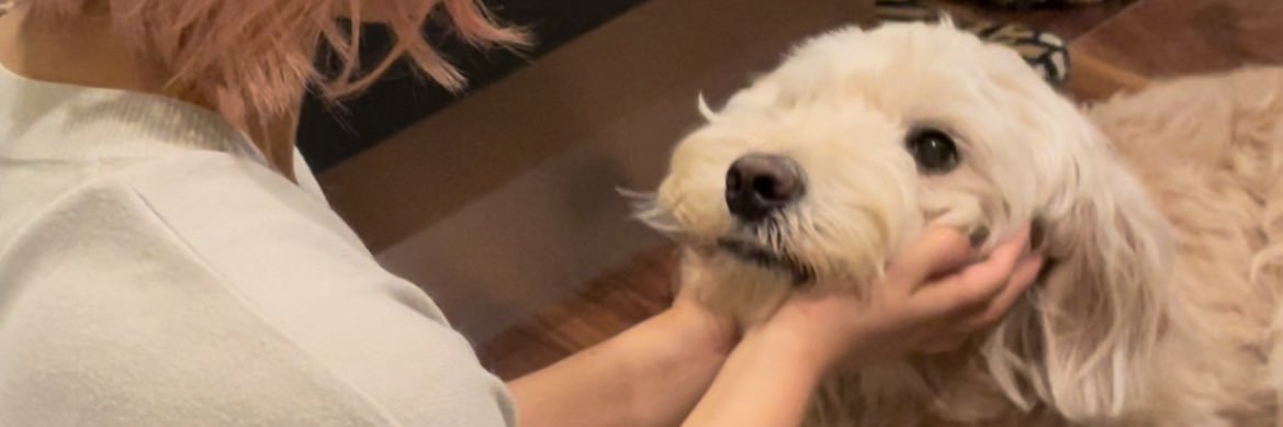 peacegoldd's profile banner image