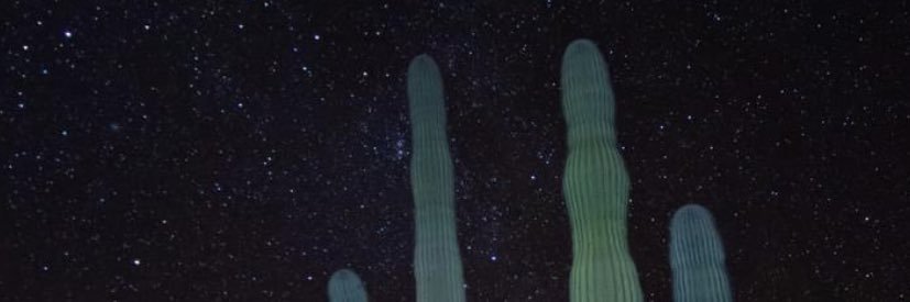 danirant's profile banner image