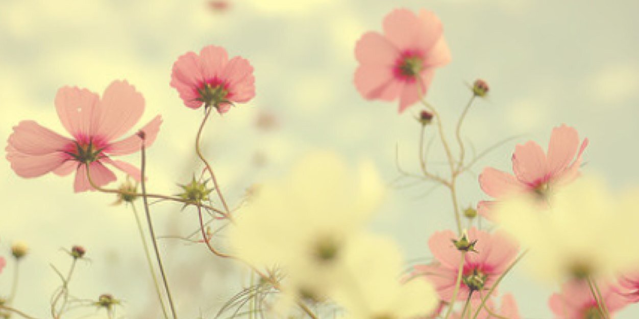 Dwicks1234's profile banner image