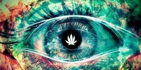 AzTxLuc's profile banner image