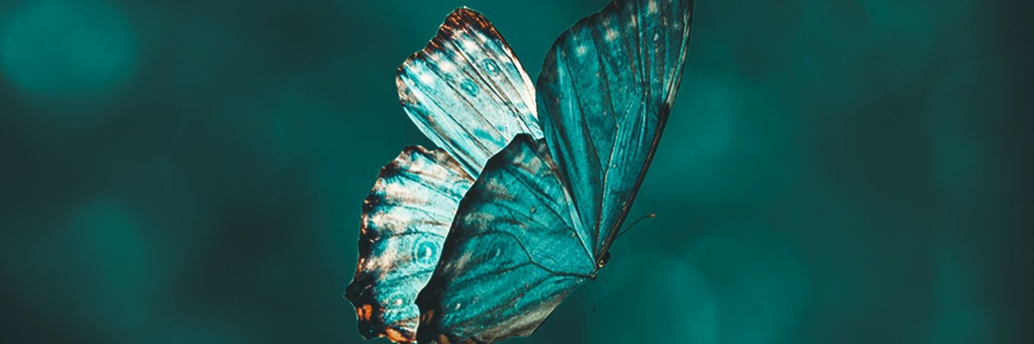 AleeGamoor's profile banner image