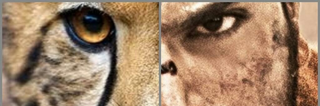 Megarahul2's profile banner image