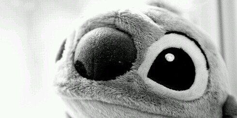 dinar_bm's profile banner image