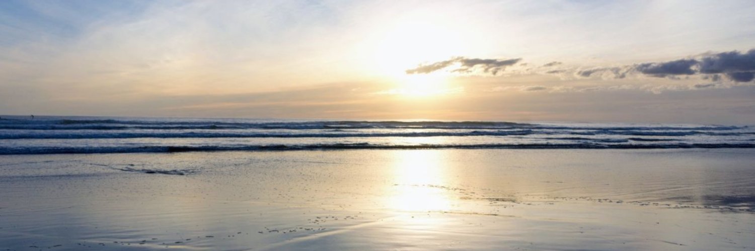 cozy_bridge's profile banner image