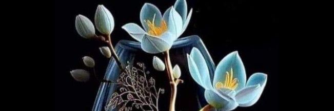 Shan_e_Rajput's profile banner image