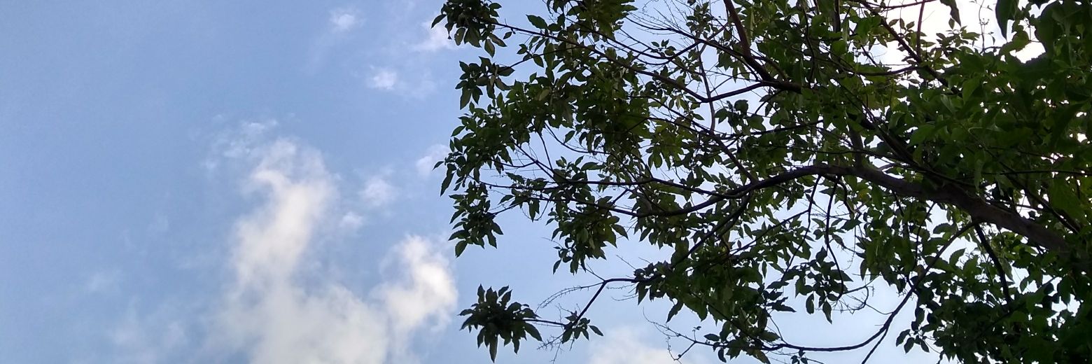 ghimsnature's profile banner image