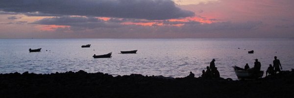 Nathalie Cadot #PeaceNotWar #PeaceAndLove Profile Banner