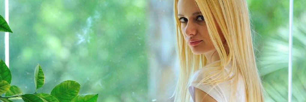kkennedy03's profile banner image