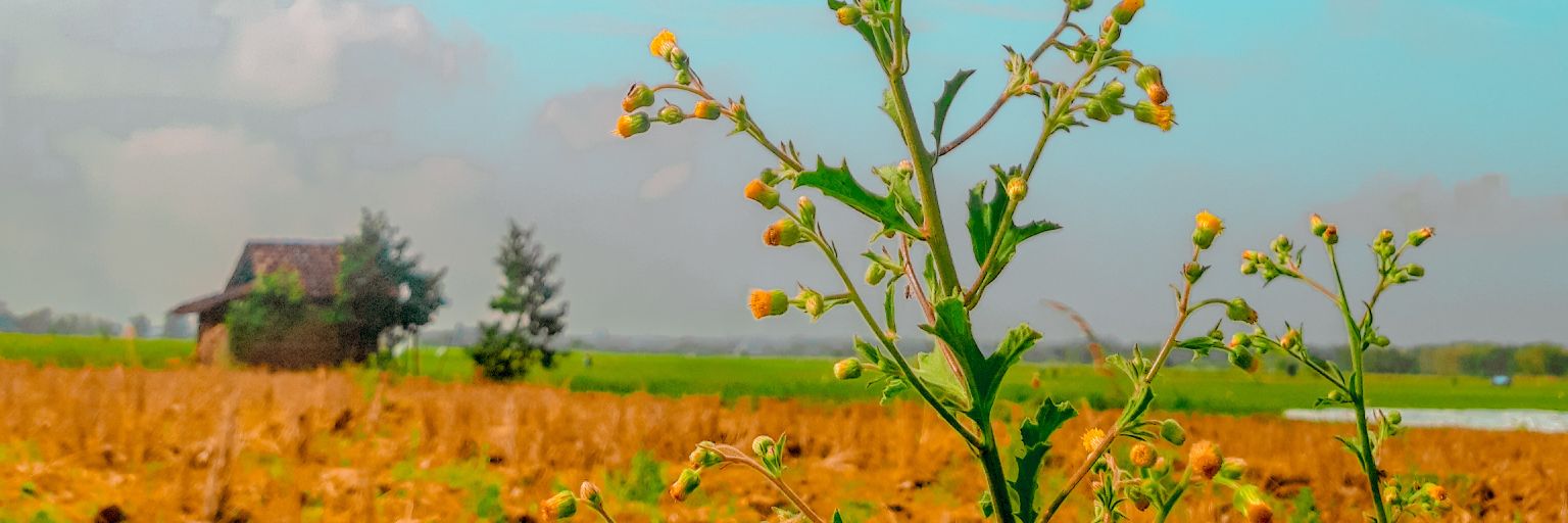 bwerlian's profile banner image