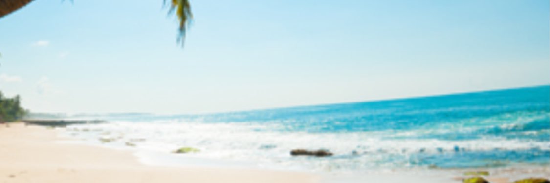 ThorneSally's profile banner image