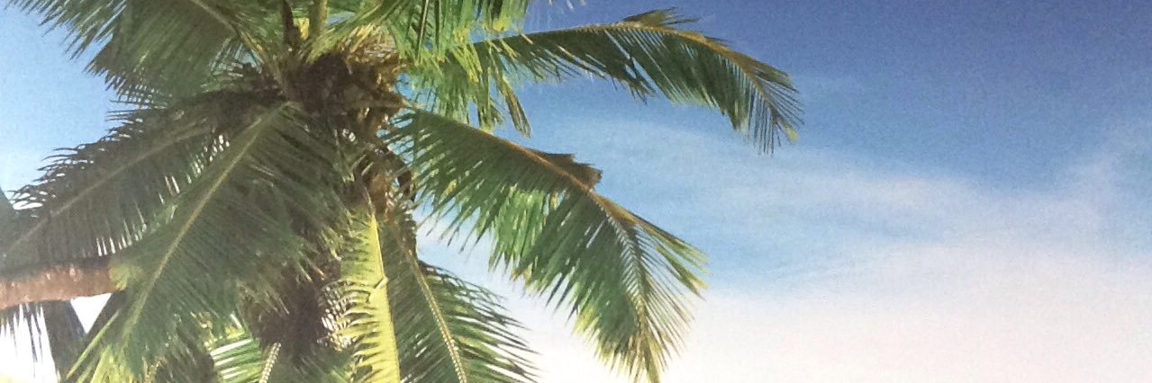 hassipolitics's profile banner image
