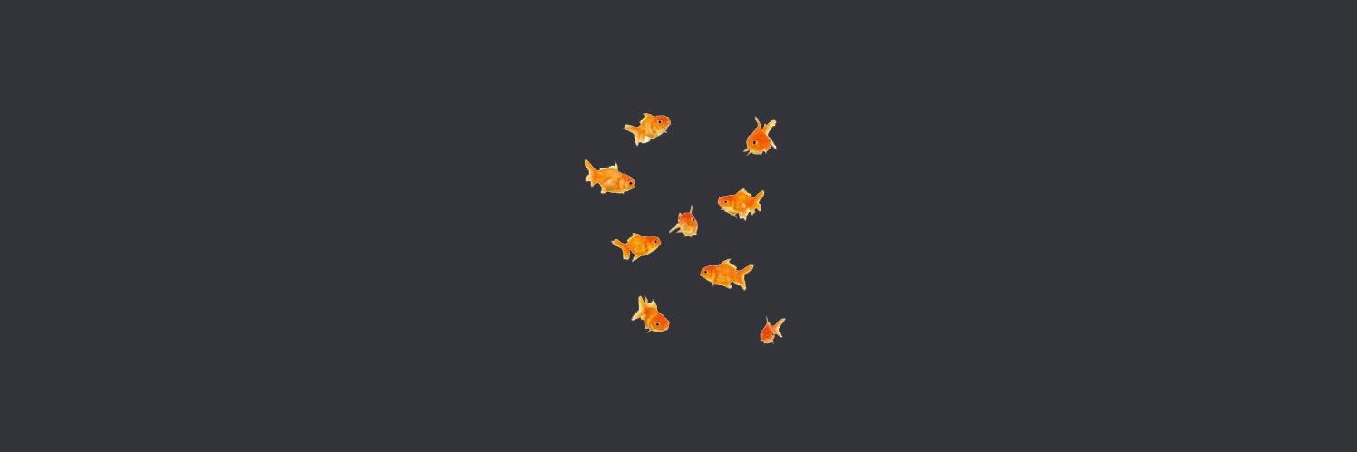 nemo01 banner