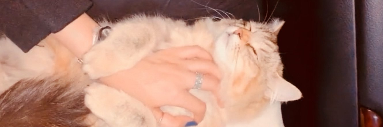 t_saadd's profile banner image
