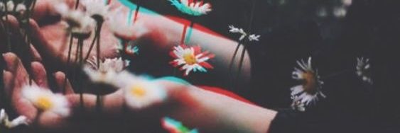 ไอริส🌈 banner