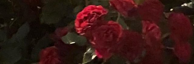 ria_h4te's profile banner image