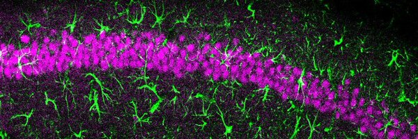 MichaelGiannet1 Profile Banner