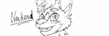 NeakendK9's profile banner image