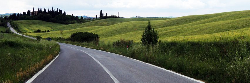treeaveller's profile banner image