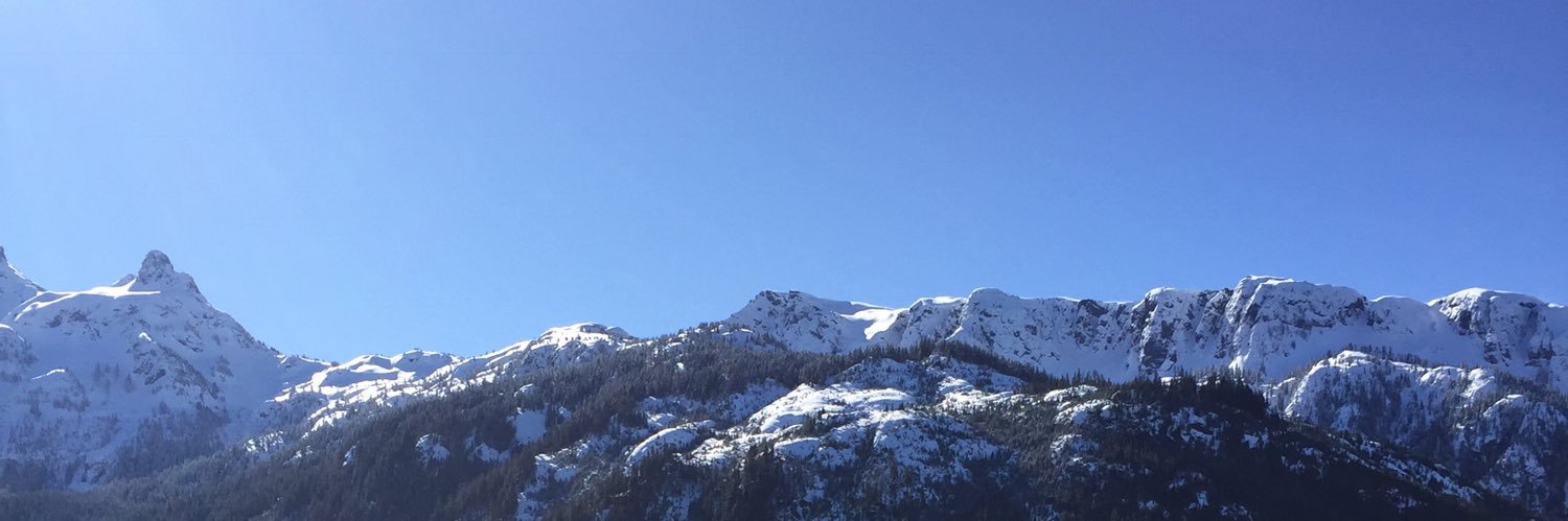 bringerofsteam banner