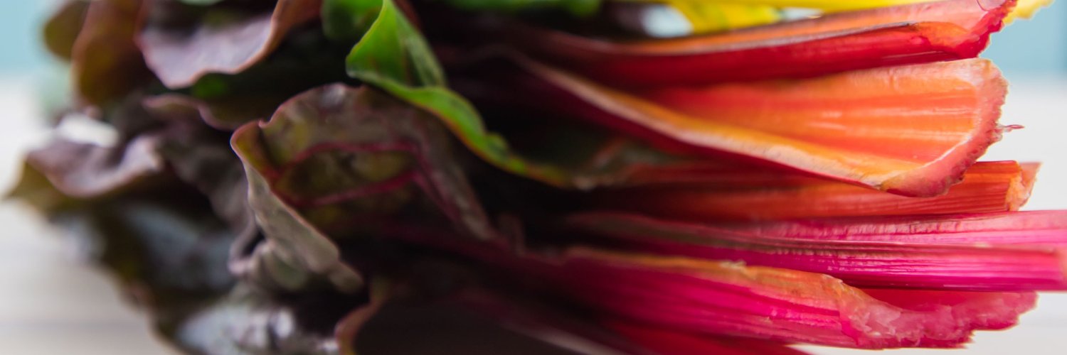 NovusRecruit's profile banner image