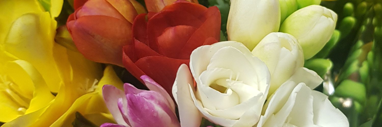 Roxana Martínez banner