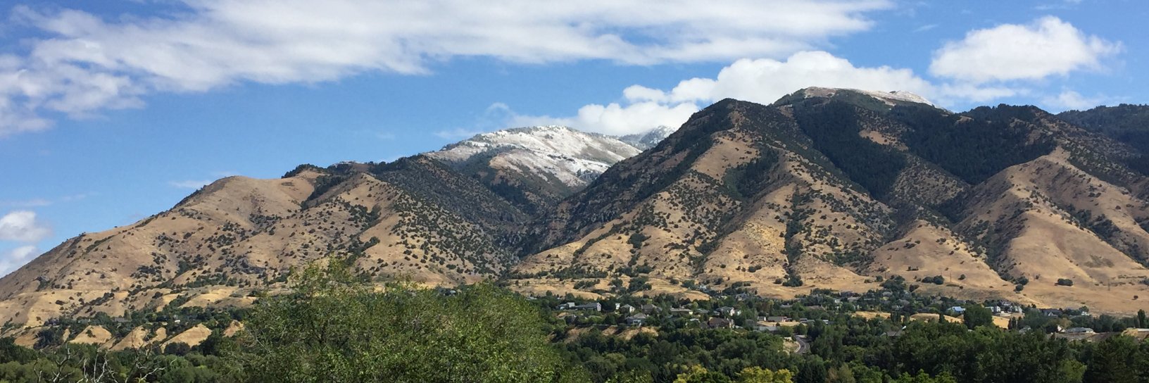 Seedscape Ecology banner