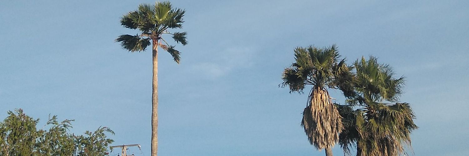 BenitezReda's profile banner image