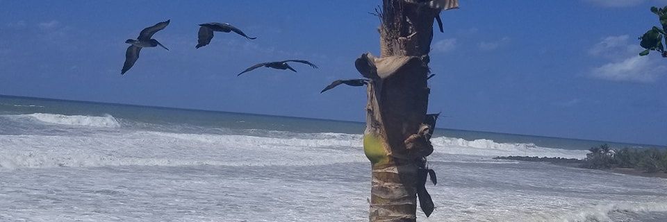 CBWorkout's profile banner image