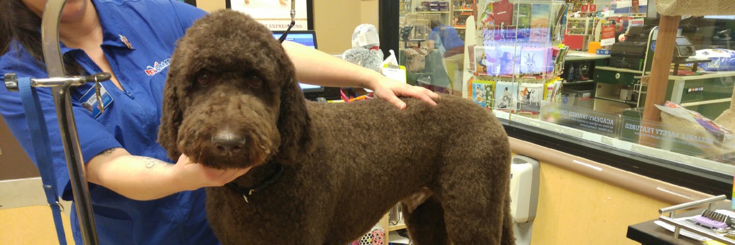petsmart2480 banner