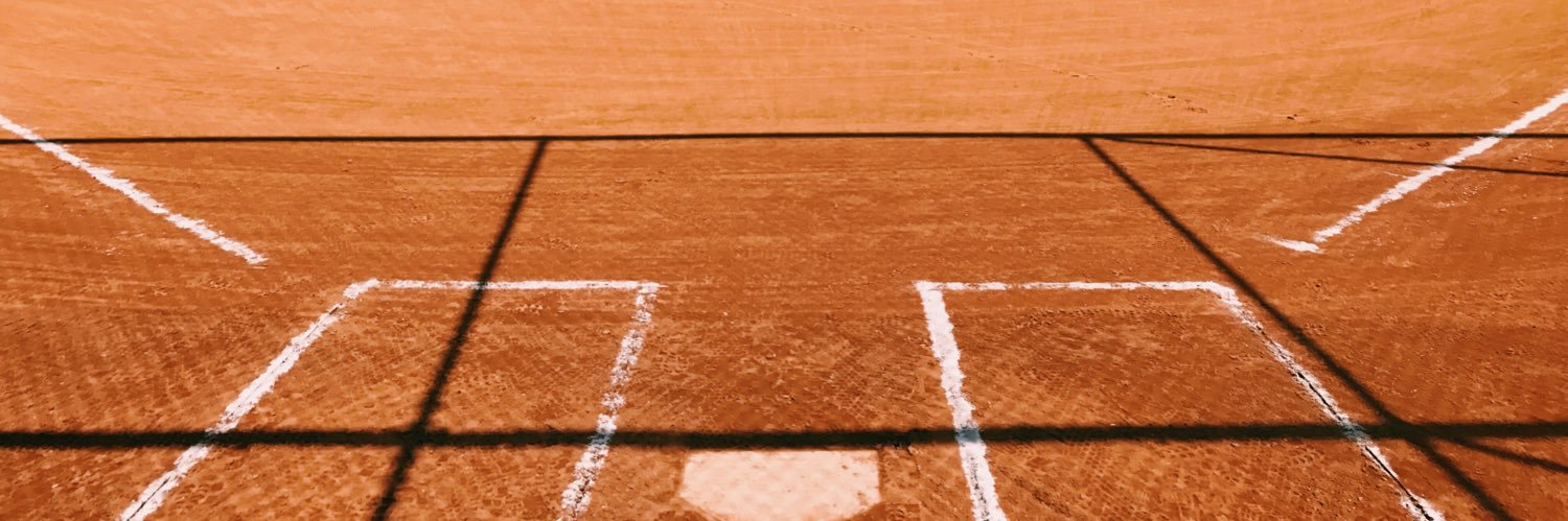 Portage Softball banner