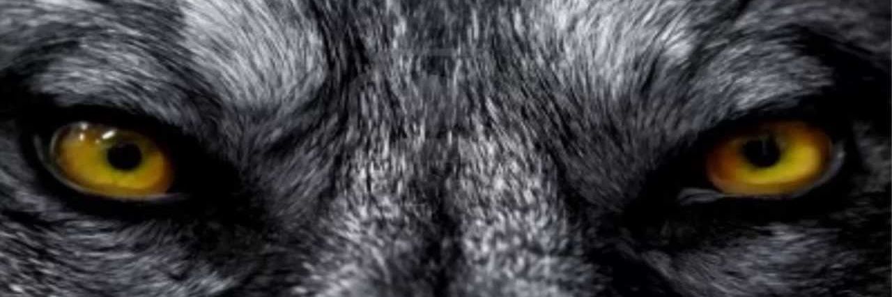 botryno's profile banner image