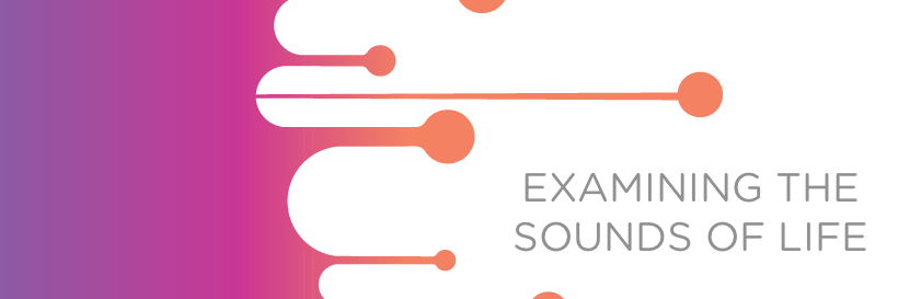 SonaviLabs's profile banner image
