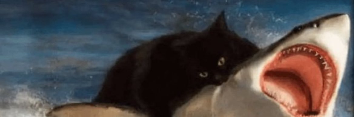 nolwllam's profile banner image