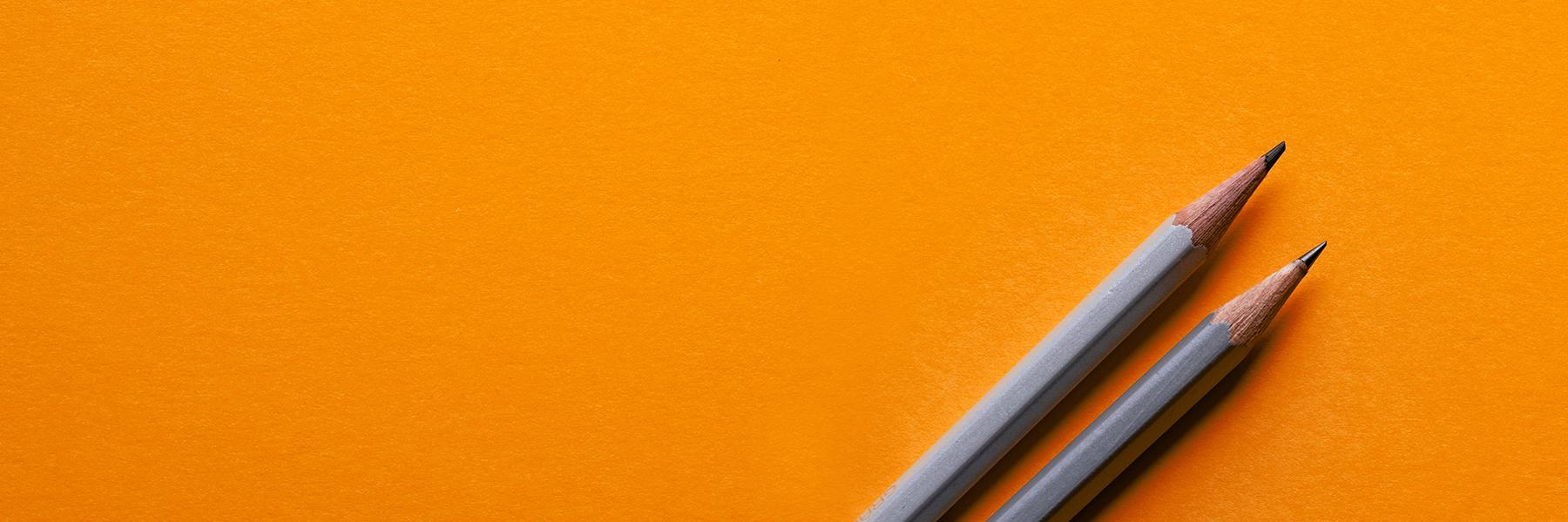 FiBS Forschungsinstitut banner