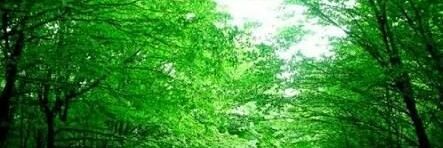 m_hesham1's profile banner image