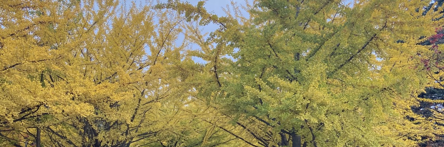 2ddii's profile banner image