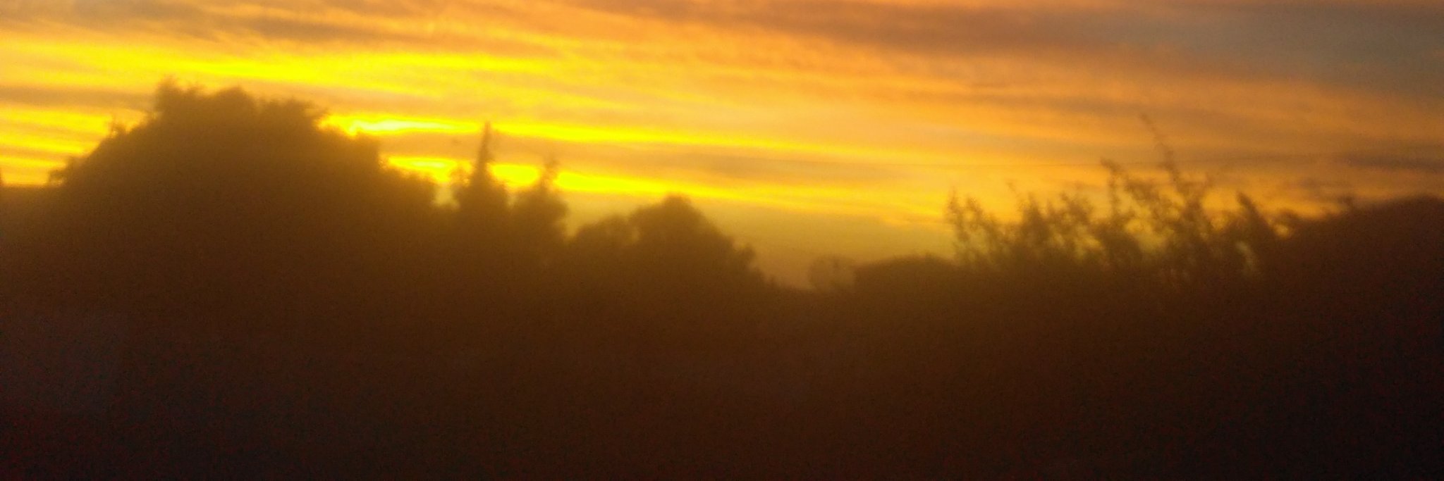 Marcio16577317's profile banner image